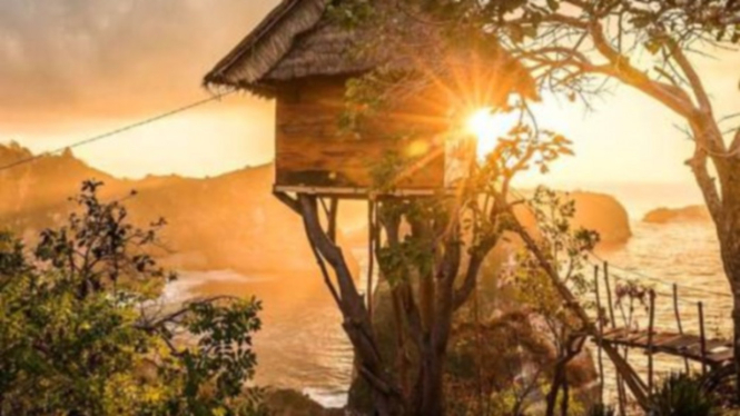Rumah pohon di Nusa Penida Bali