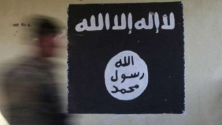 Facebook Masih Jadi 'Karpet Merah' ISIS