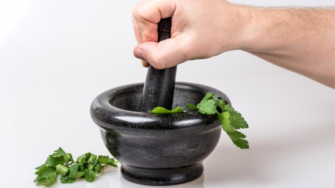 Ilustrasi obat herbal.