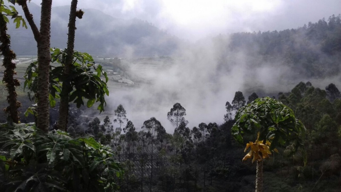 Ledakan kawah Sileri, Dieng 