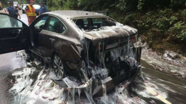 Mobil dan jalanan banjir lendir belut.