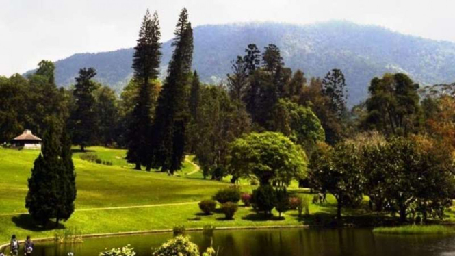 Taman Wisata Kebun Raya Cibodas