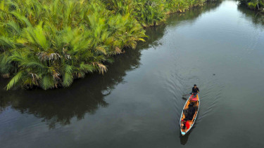Potensi Wisata Mangrove di Indonesia