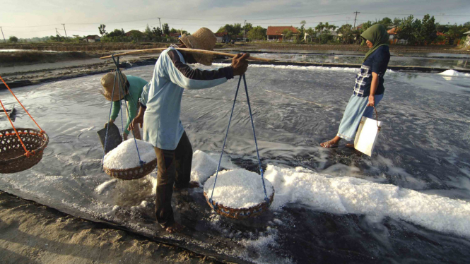 Produksi Garam di Indonesia Turun.