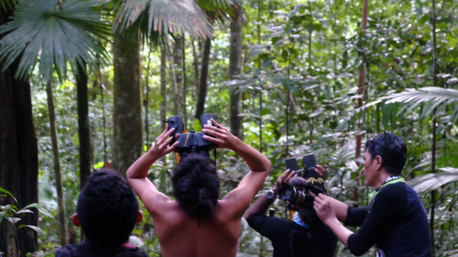 Mengamati Burung Bidadari Halmahera.