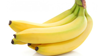Nekat, Pengunjung Makan Pisang Rp1,6 M yang Dipajang di Galeri Seni