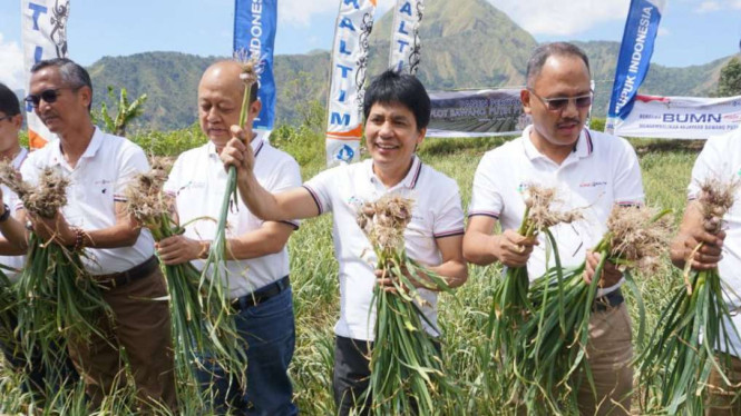 Direktur Utama Pupuk Indonesia, Aas Asikin Idat saat panen bawang putih.