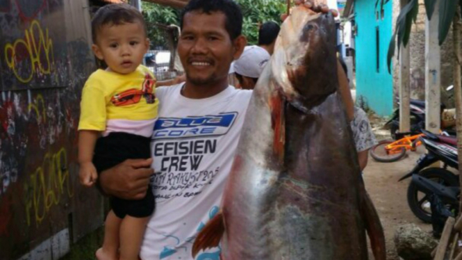 Ikan patin raksasa