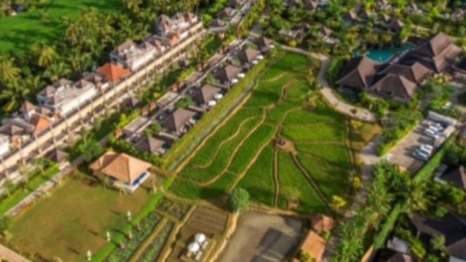 Visesa Ubud