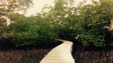 Hutan Mangrove Airano