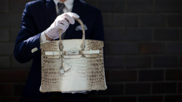 Tas Hermes Himalayan Nilo Crocodile Birkin.