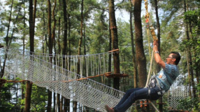Flying fox di Tretes Treetop, Pandaan, Pasuruan, Jawa Timur.