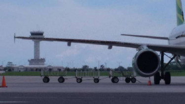 Lebah yang menempel di sayap kanan Pesawat Citilink di Bandara Kualanamu.