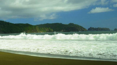 Pantai Bandealit di kawasan Taman Nasional Meru Betiri