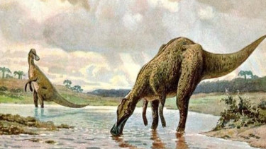 Ilustrasi dinosaurus.