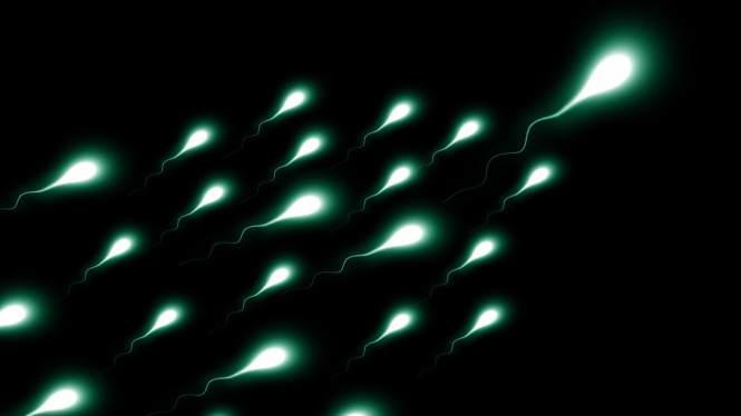 Ilustrasi sperma