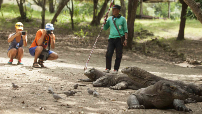 Pesona Keindahan Taman Nasional Komodo 