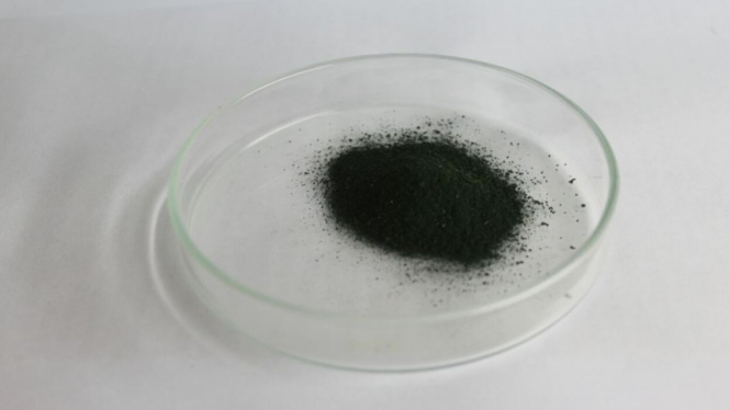 Obat kanker kelenjar getah bening dari alga hijau biru