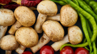 Jenis Makanan Ini Mengandung Kadar Gizi Paling Tinggi