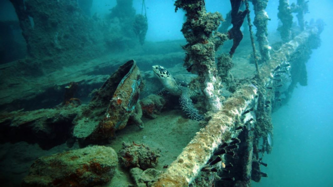 Bangkai kapal MV Boeloengan Nederland di perairan Mandeh