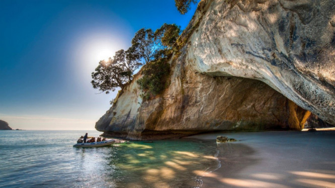 Gua Coromandel, Selandia Baru.