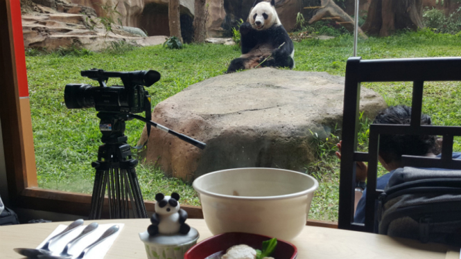 Istana Panda, Taman Safari Indonesia.