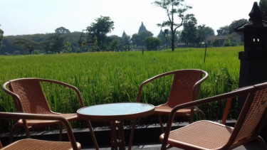 Homestay Dewi Shinta.