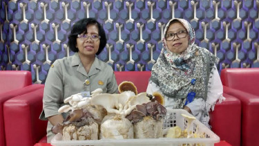 Peneliti LIPI dan sampel jamur