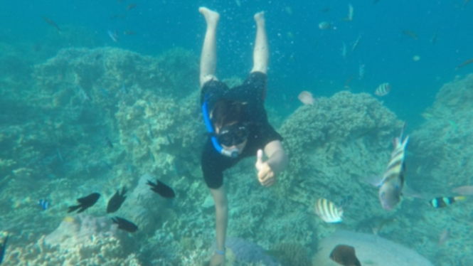 Lokasi snoekeling di laut Pulau Menjangan Kecil, Karimunjawa.