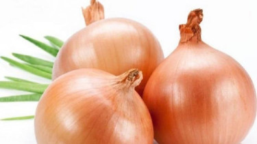 Manfaat dan Efek Samping Bawang Bombai untuk Kesehatan