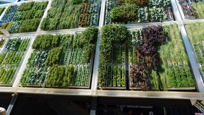 Vertical garden