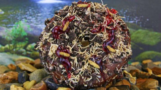 Bukan Lagi Tabur Meses, Donat Toping Jangkrik Perlu Dicoba