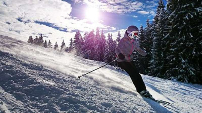 Ilustrasi bermain ski