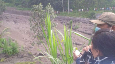 Lahar dingin yang sudah terlihat mengalir di sungai-sungai di Bali.