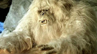 Terungkap Misteri Yeti Si Manusia Salju yang Keji