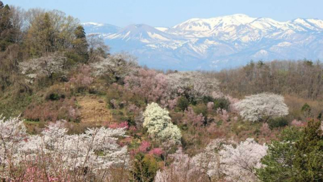 Pemandangan alam Fukushima
