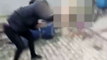 Pemilik anjing greyhound bantingi anjingnya hingga tewas karena kalah