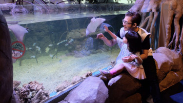 Jakarta Aquarium.