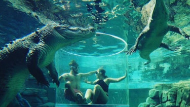 The Cage of Death di Crocosaurus Cove 