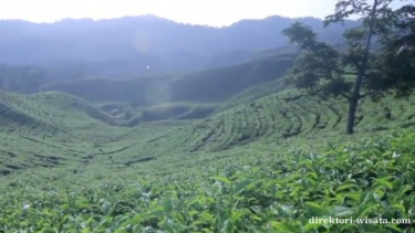 Lereng Gunung Salak.