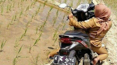 Perempuan dengan skutik Honda Vario 125 melintasi pematang sawah