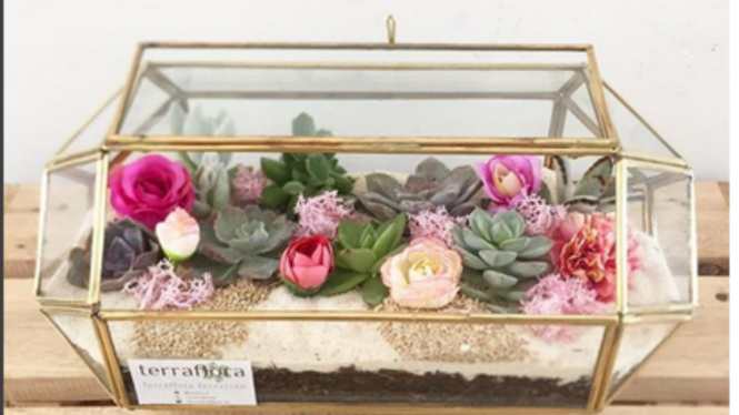 Terrarium dalam pot kaca