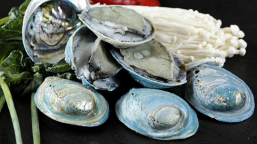 Tiram Abalone