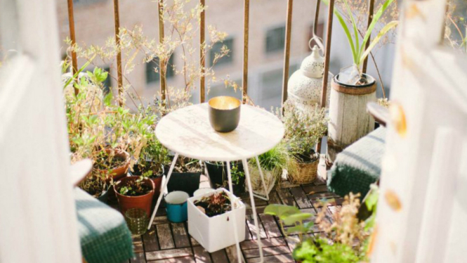 Taman mini di balkon