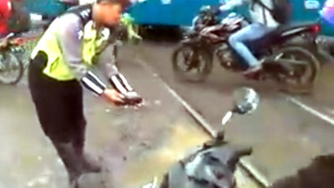 Polisi taruh ikan lele di lubang jalanan