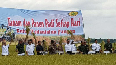 Panen Raya di Bojonegoro.