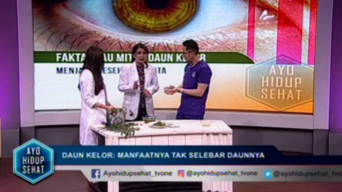 Mengulas manfaat tersembunyi di daun kelor.