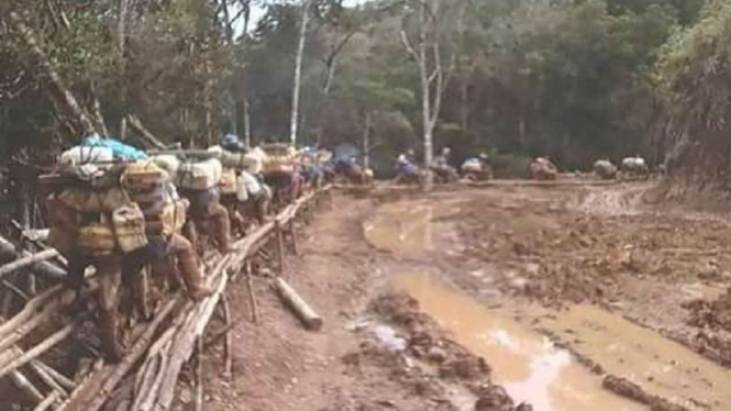 Jalan buatan warga di tengah hutan Luwu Utara, Sulawesi Selatan.