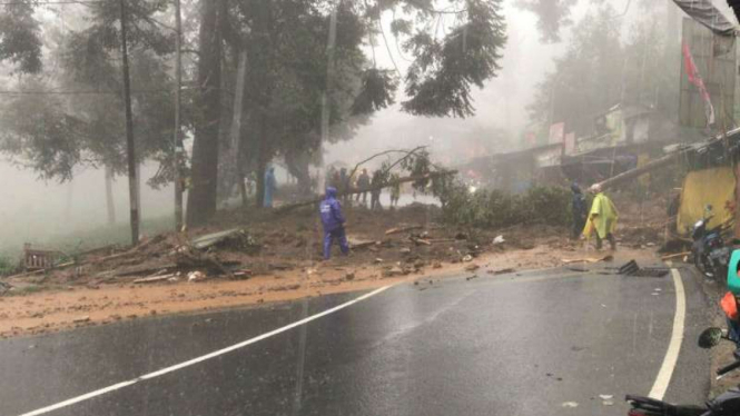 Longsor di jalur Puncak, Bogor, Jawa Barat