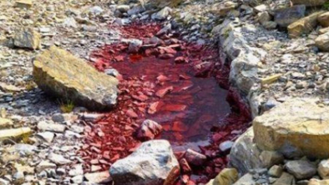 Salju cair warna merah.
